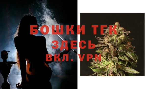 PSILOCYBIN Михайлов