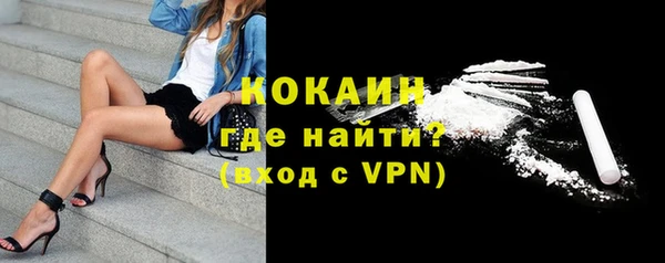 PSILOCYBIN Михайлов