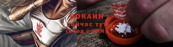 PSILOCYBIN Михайлов