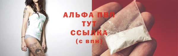 PSILOCYBIN Михайлов
