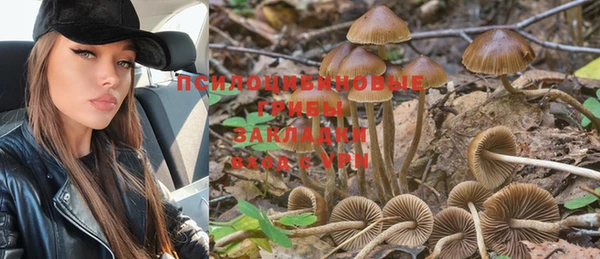 PSILOCYBIN Михайлов