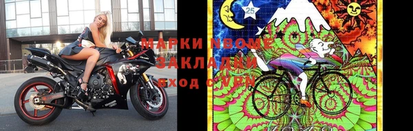 PSILOCYBIN Михайлов