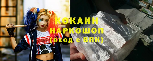 PSILOCYBIN Михайлов