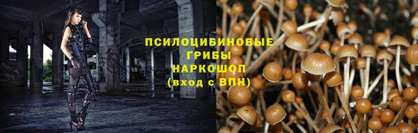 PSILOCYBIN Михайлов