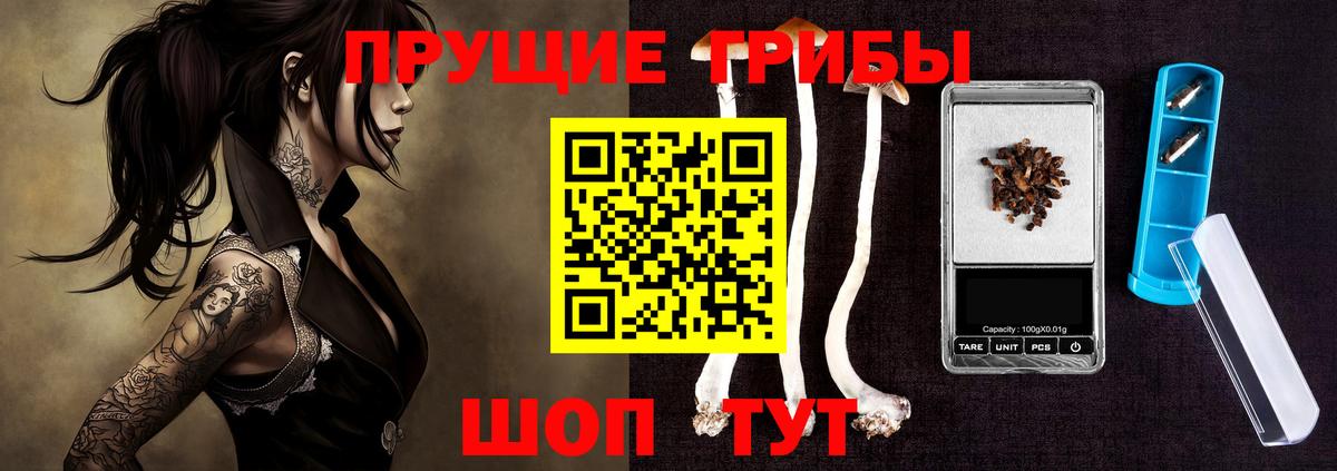 Галлюциногенные грибы мицелий  Вход с VPN  Псилоцибиновые грибы ЛСД  Химки 
